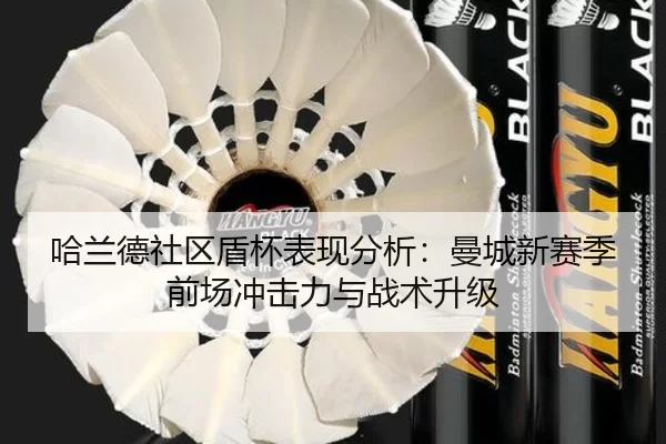 ha-lan-de-she-qu-dun-bei-biao-xian-fen-xi-man-cheng-xin-sai-ji-qian-chang-chong-ji-li-yu-zhan-shu-sheng-ji-1-563.jpg